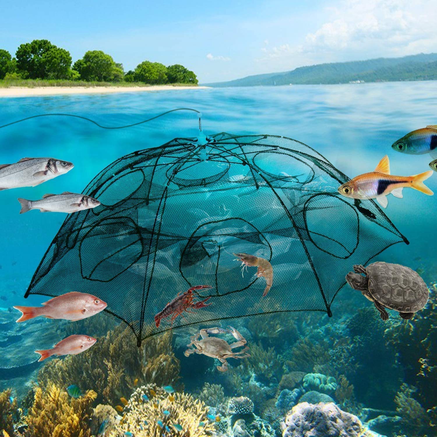 ELEPHANTBOAT Light 8 Side Bait Fishing Trap, Portable Folded Fishing Net, Shrimp Minnow Crayfish Crab Baits Cast Mesh Trap Automatic ELEPHANTBOAT Light 8 Side Bait Fishing Trap, Portable Folded Fishing Net, Shrimp Minnow Crayfish Crab Baits Cast Mesh Trap Automatic